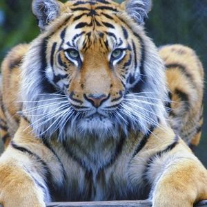 Meet your Posher, Kari